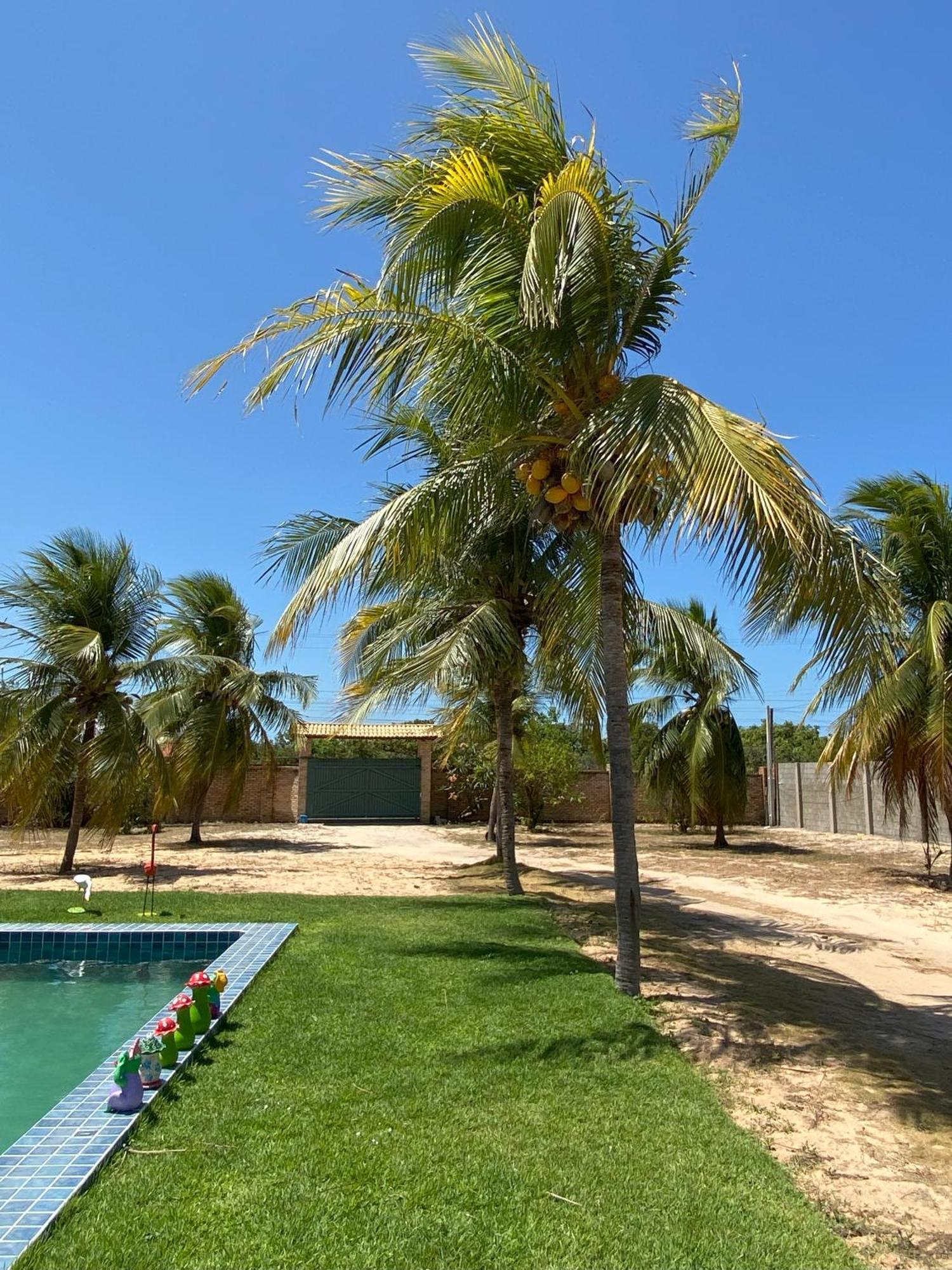 Sitio Sossego - A 5 Min Da Praia Das Fontes Beberibe Exterior foto